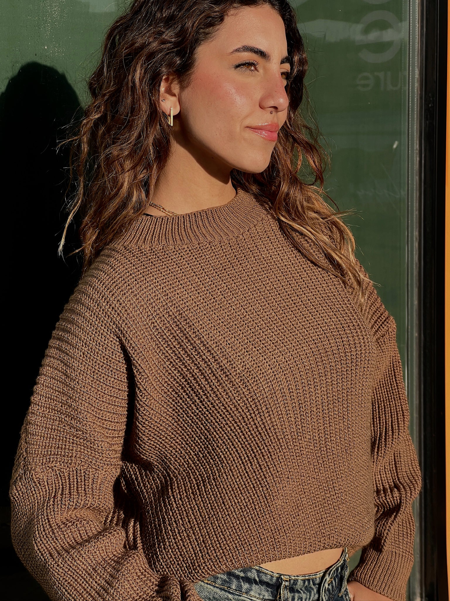 Light Brown Sweater