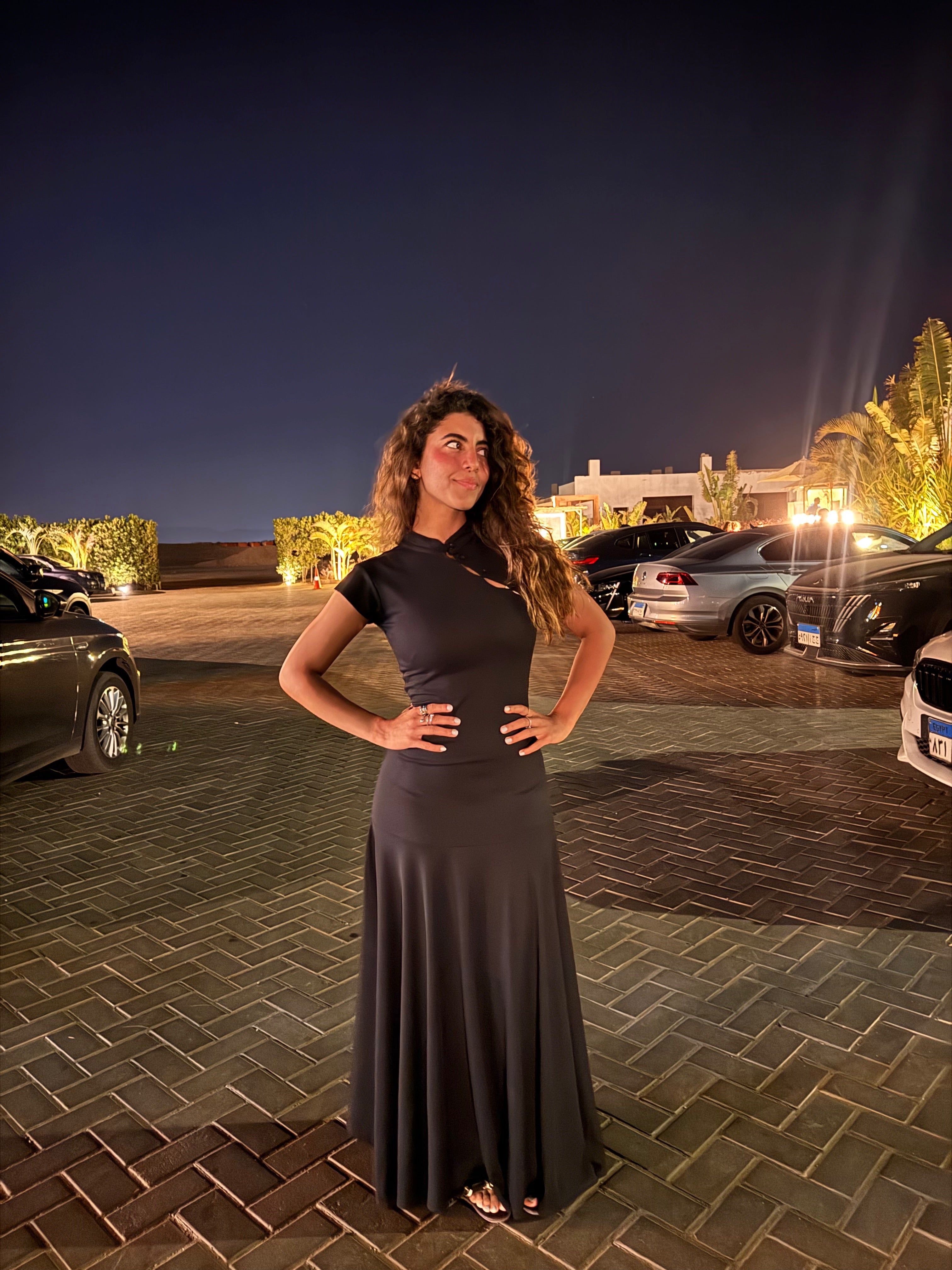 The Black Japanese Tala Dress